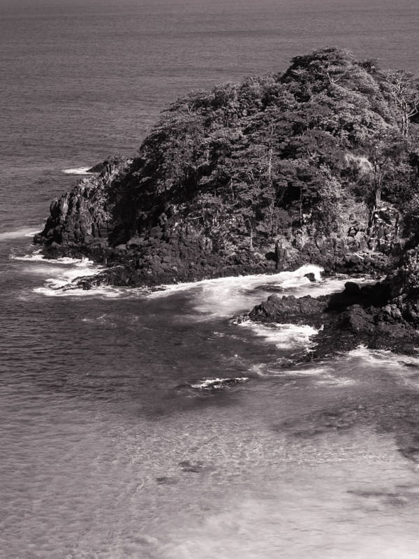 SANCHO BAY NIGRI