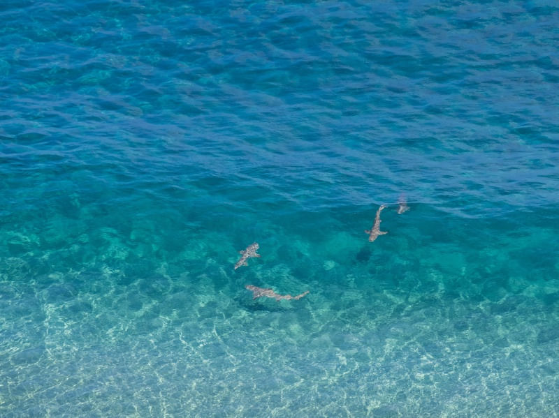 EM CÍRCULOS