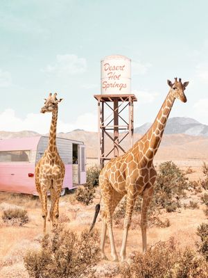 DESERT HOT SPRINGS