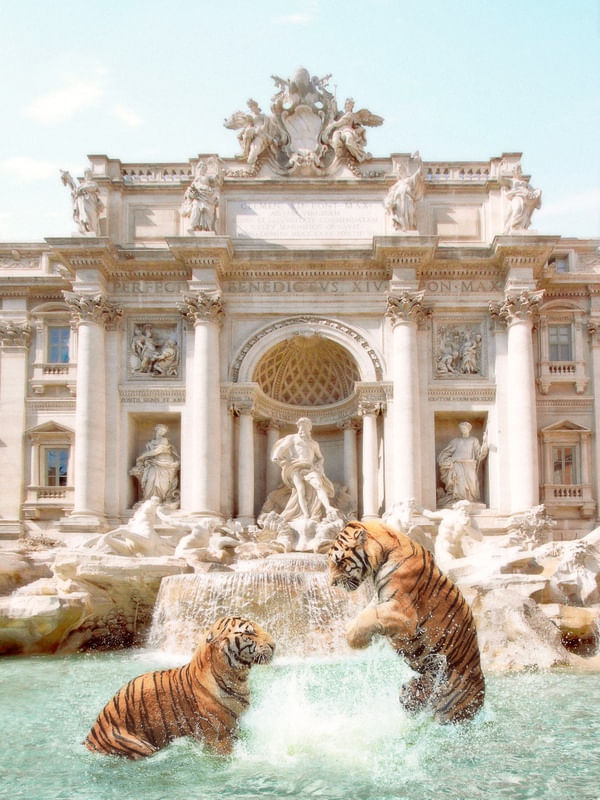 FONTANA TREVI