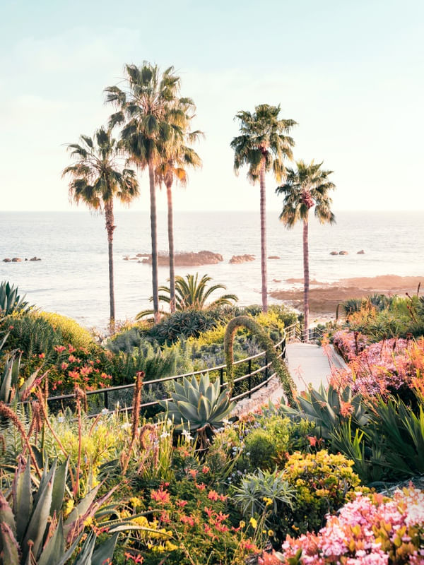 LAGUNA BEACH