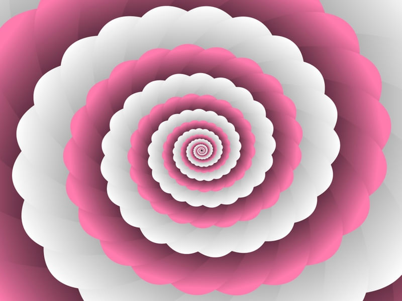 MODERN PINK FLORAL ART