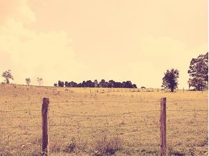 RANCHO