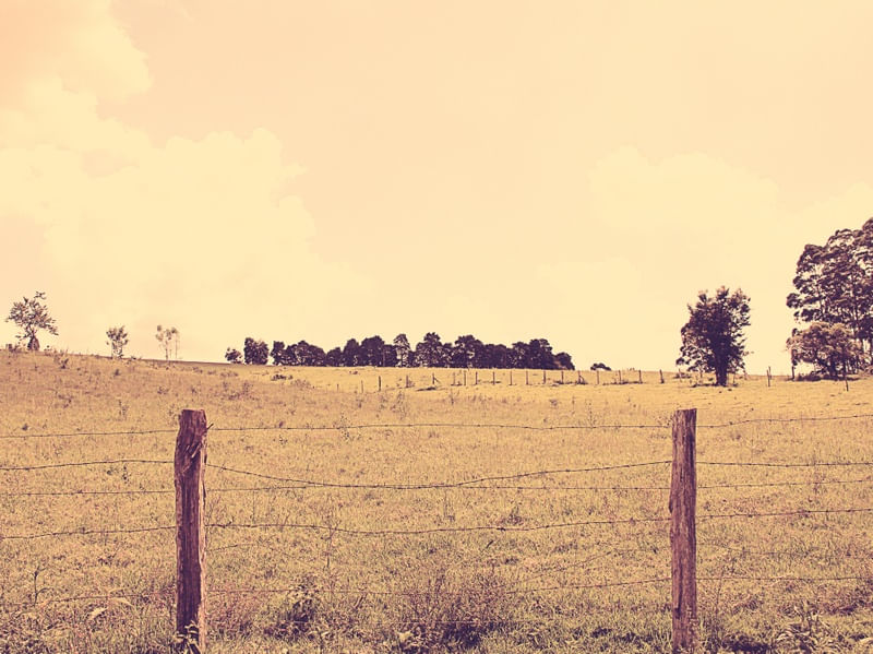 RANCHO