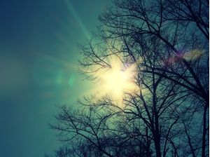 HAMBURG SONNE