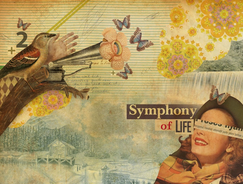SYMPHONY OF LIFE