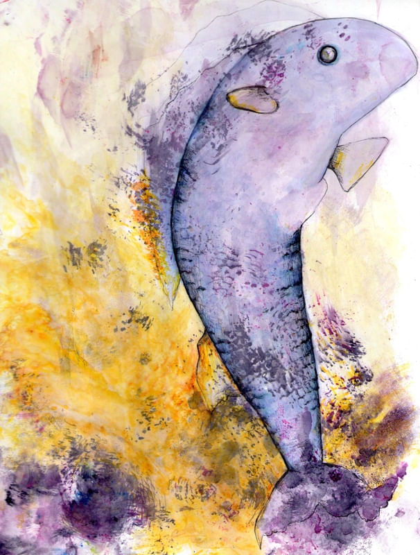 PEIXE
