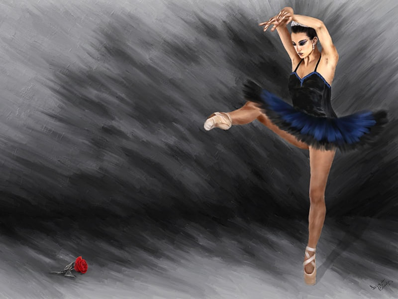 CISNE NEGRO