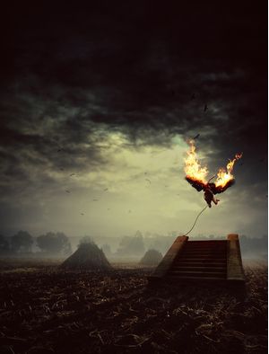 HER BLACK WINGS