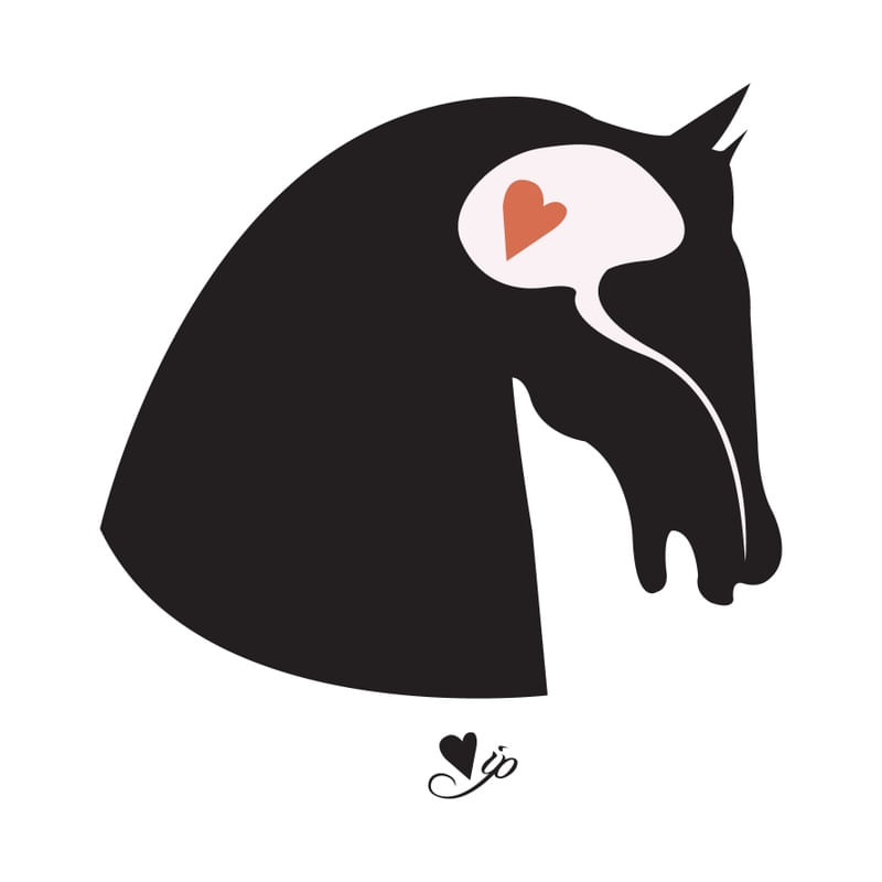 CAVALO