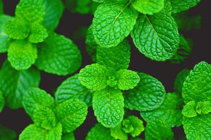 MOJITO'S