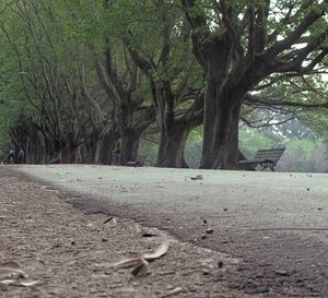 PARK