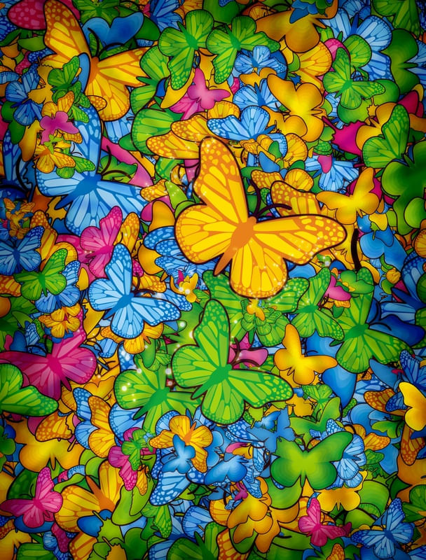 BUTTERFLIES