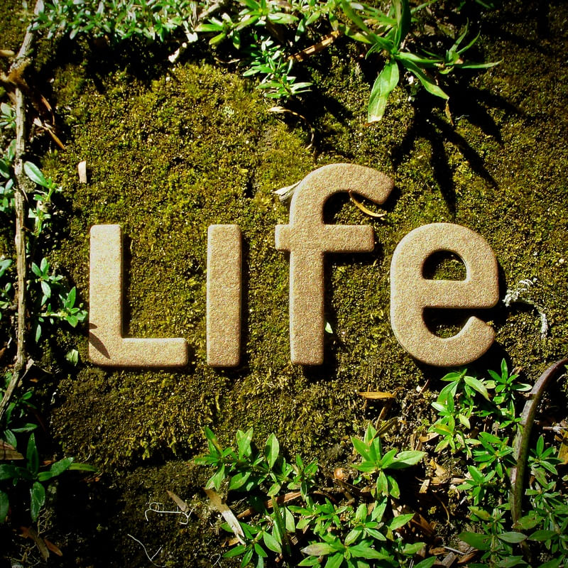 LIFE