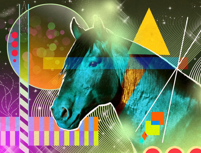 CAVALOX