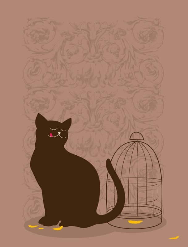 THE CAT