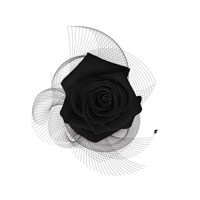 BLACK ROSE