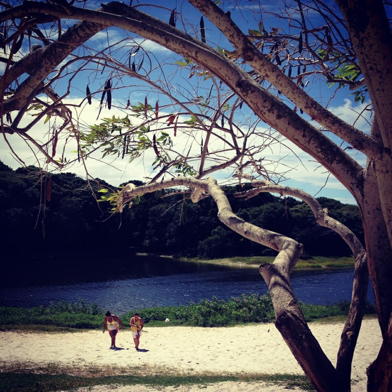 DA LAGOA