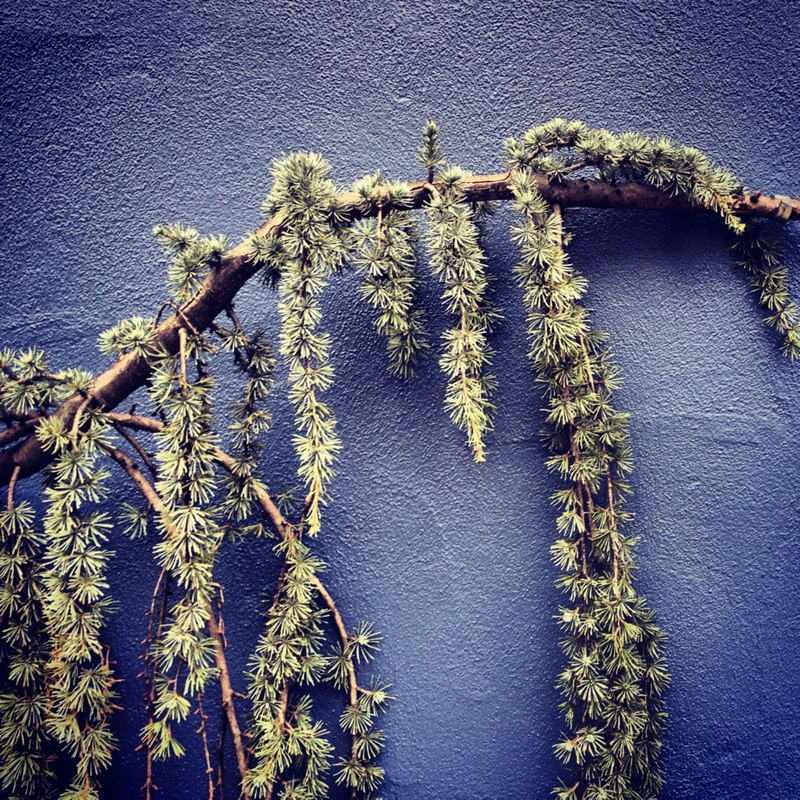 NORTE 11, BROOKLYN, NY 2012