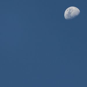 MOONSHINE