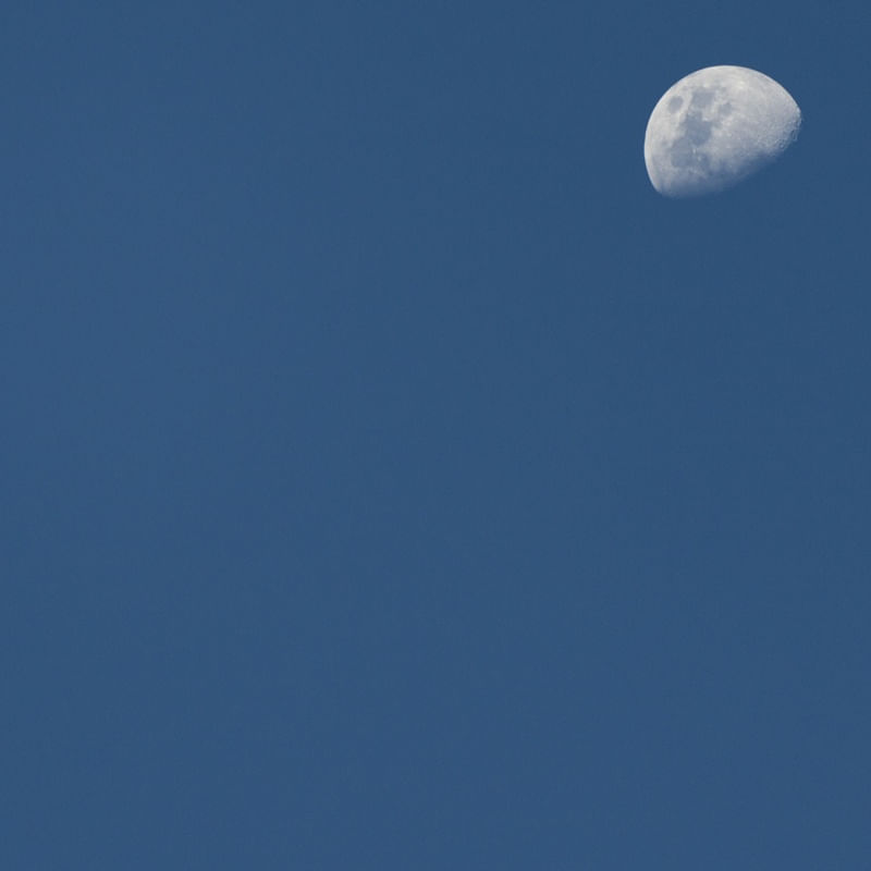 MOONSHINE