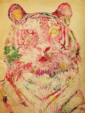 TIGER FLOWERS
