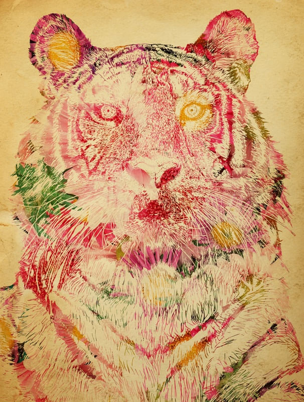 TIGER FLOWERS