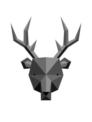 DEER II