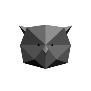 OWL II