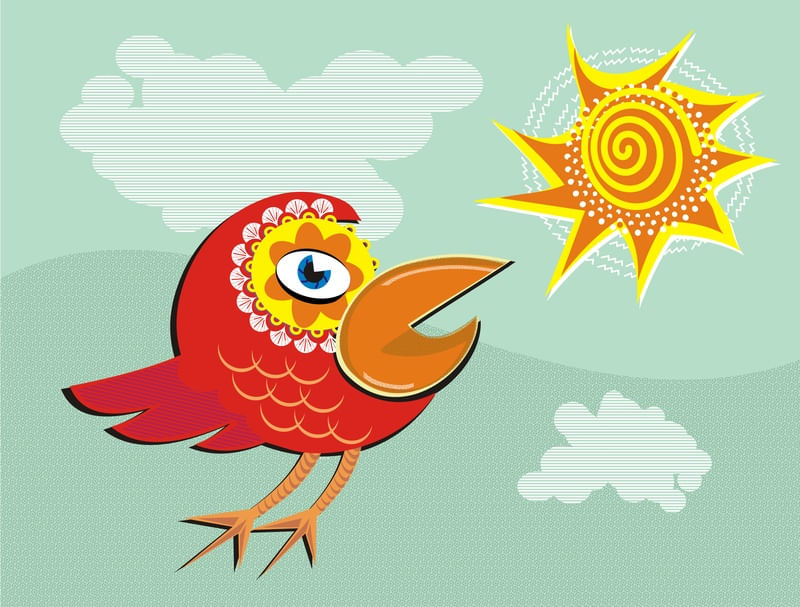 BIRD BIRD