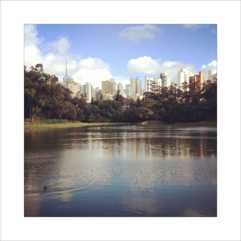 PATO