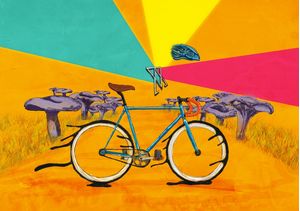 BIKE TRIP