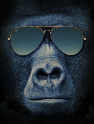 GORILLA SUNGLASS