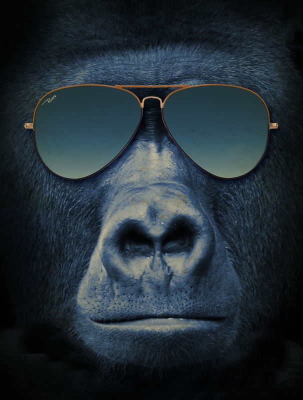 GORILLA SUNGLASS