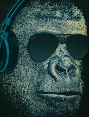 GORILLA DJ