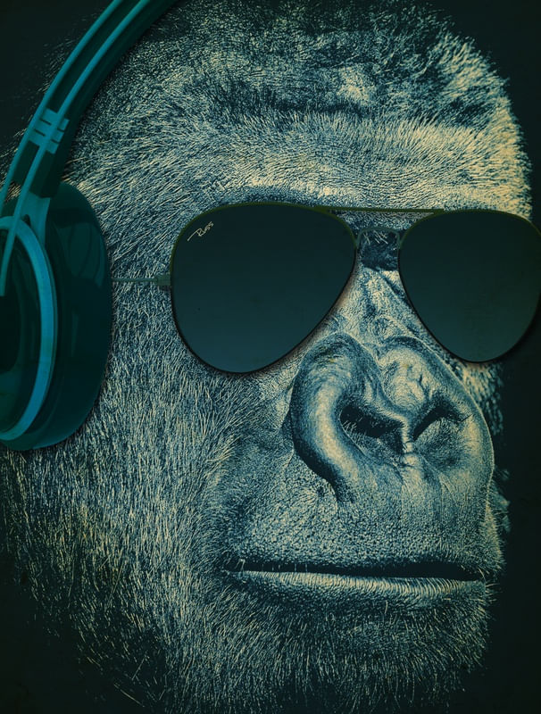 GORILLA DJ