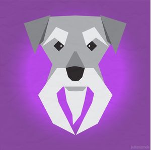 WOOF SERIES - SCHNAUZER