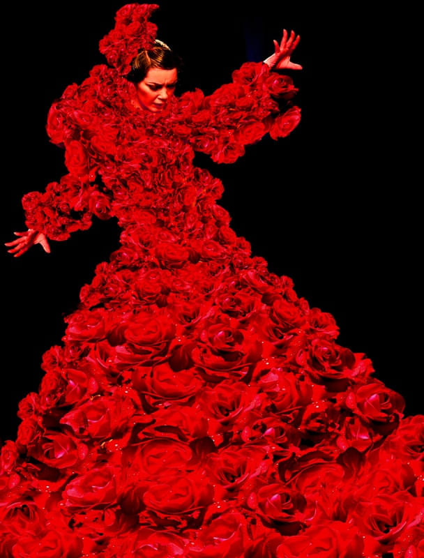 FLAMENCO ROSE DRESS