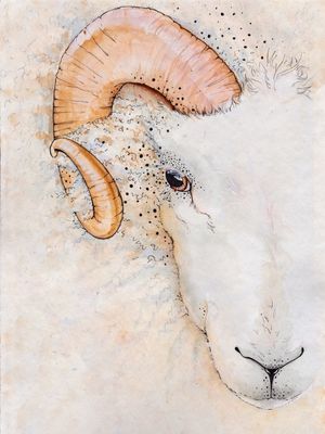 ARIES