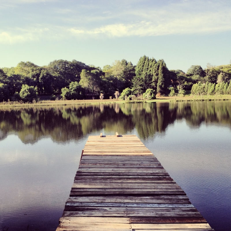 LAKE #4