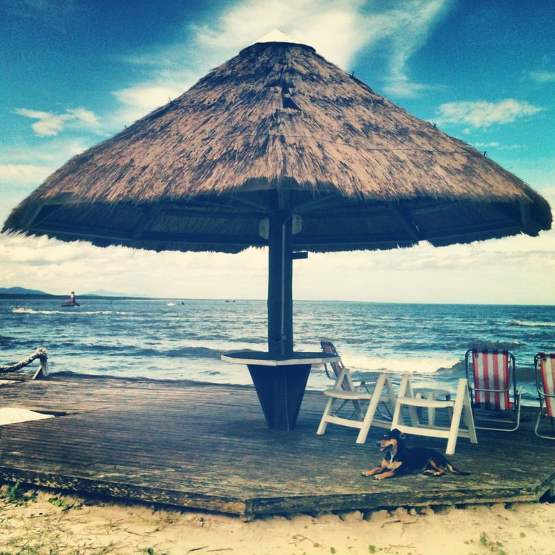 O CÃO, A TENDA E O MAR