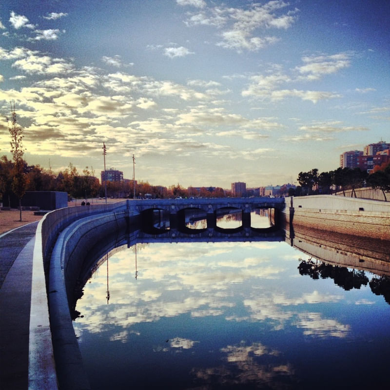 MANZANARES #1