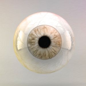 EYE II