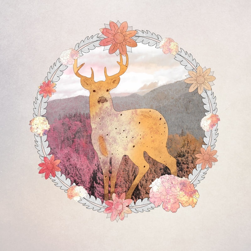 FLORA & FAUNA
