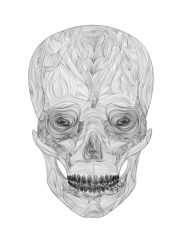 SKULL IN LINE II