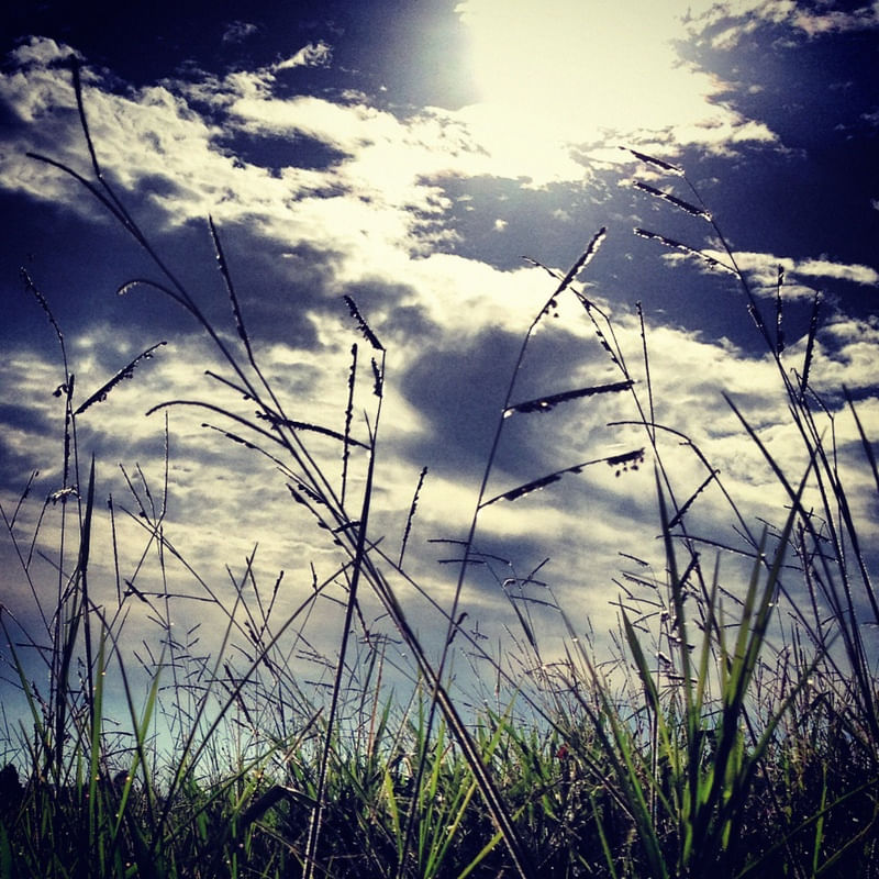 SKY #5