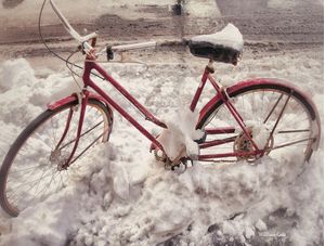 RED CYCLE