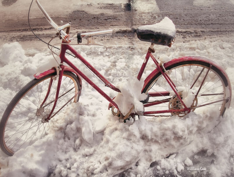 RED CYCLE