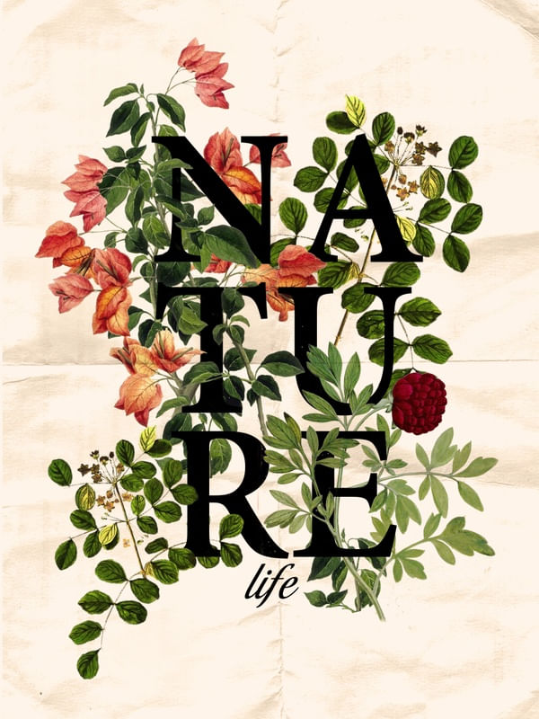 NATURE LIFE