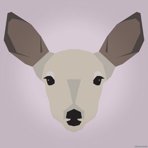 DEER III